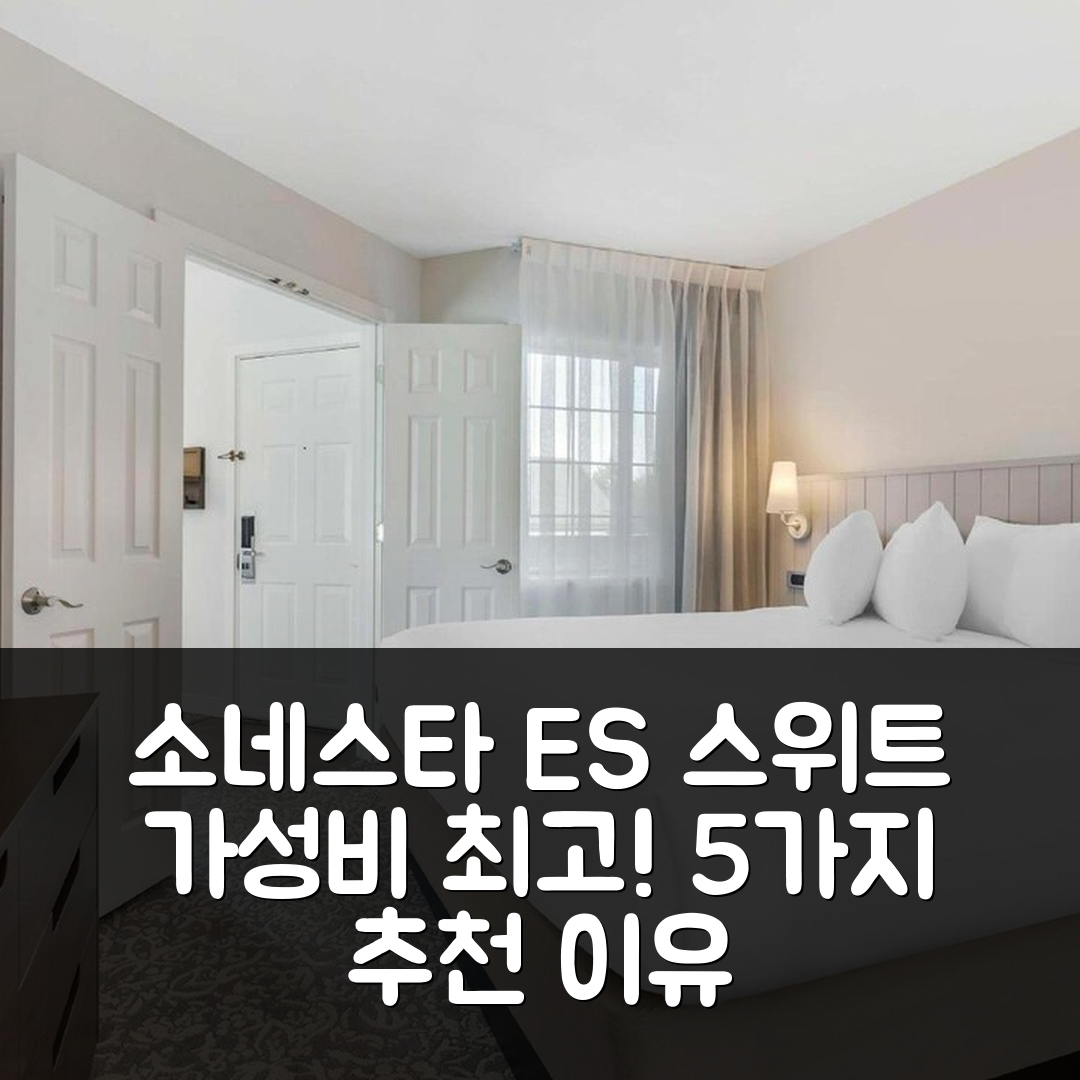 헌든 숙소 여행 호텔 추천 소네스타 ES 스위트 덜레스 에어포트 | 가성비와 조식이 뛰어난 5가지 이유