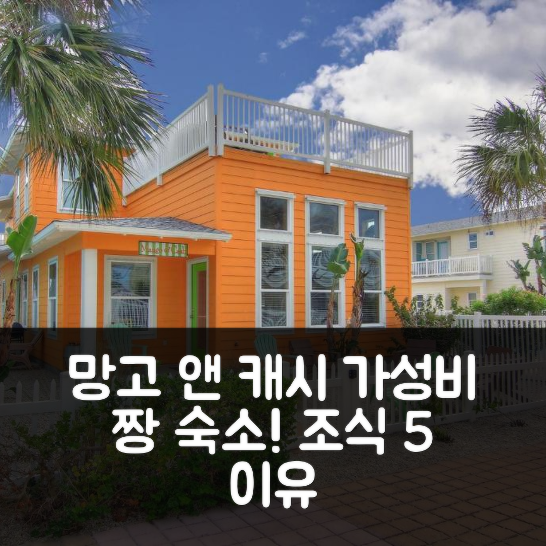 포트 애런사스 숙소 여행 호텔 추천 망고 앤 캐시 80VW | 가성비와 조식이 뛰어난 5가지 이유