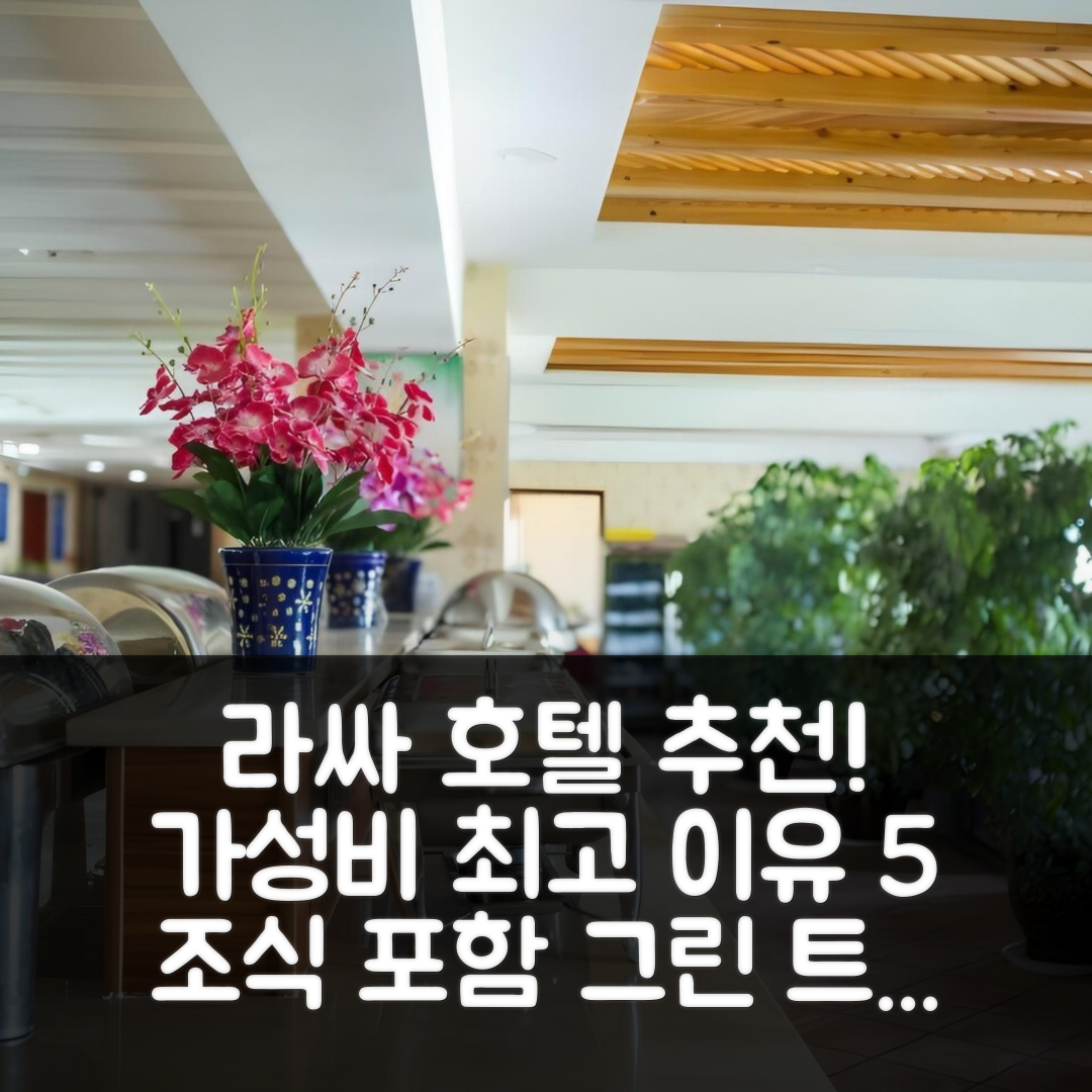 라싸 숙소 여행 호텔 추천 그린 트리 인 티베트 라싸 자지 템플 | 조식과 가성비 뛰어난 5가지 이유