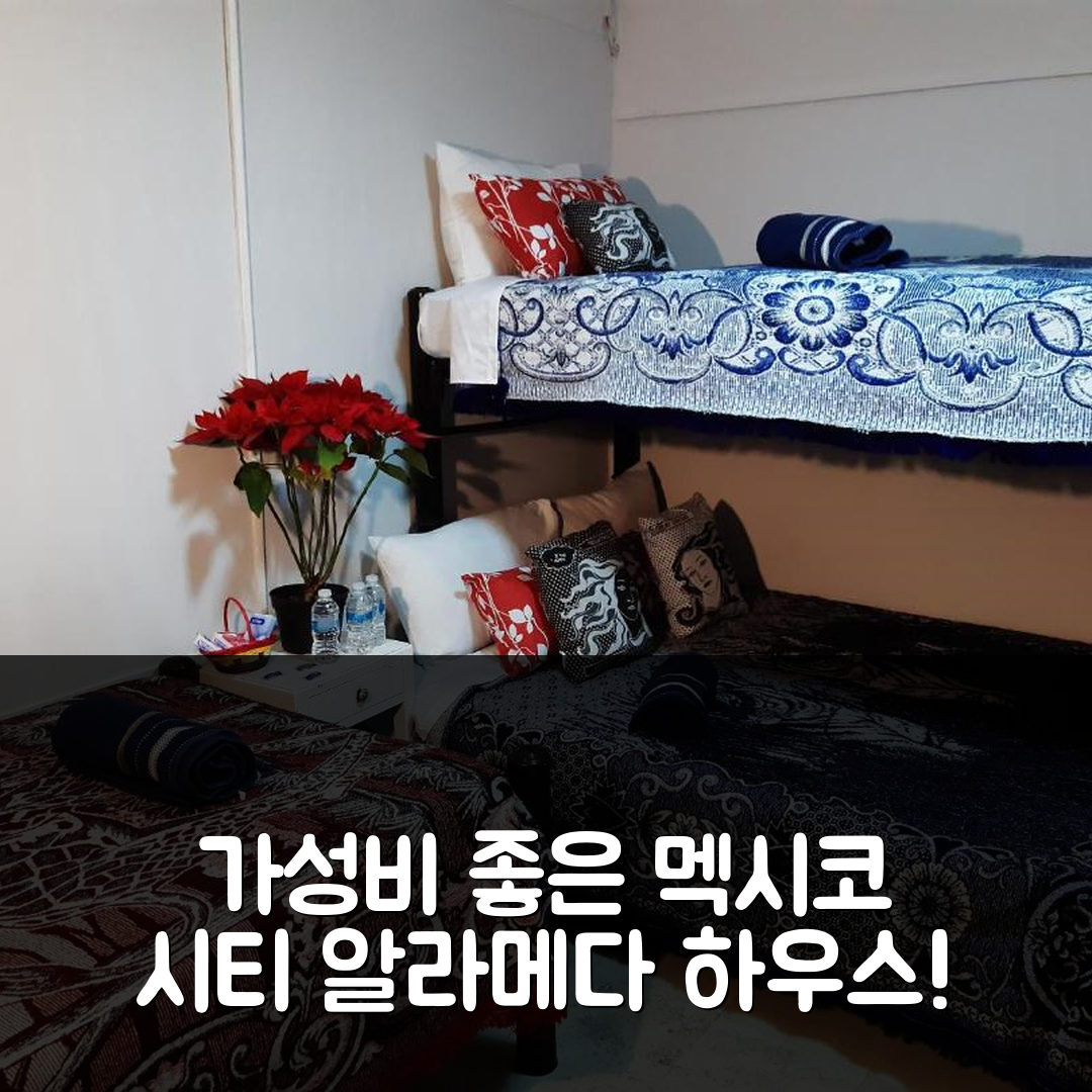 멕시코 시티 숙소 여행 호텔 추천 알라메다 하우스 | 4가지 가성비 좋은 조식과 위치 팁