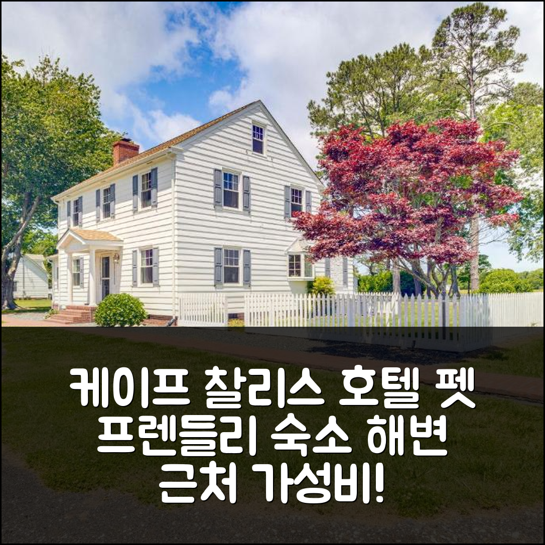 케이프 찰리스 호텔 숙소 여행 호텔 추천 펫 프렌들리 홈 | 해변 근처 가성비와 위치의 7가지 장점