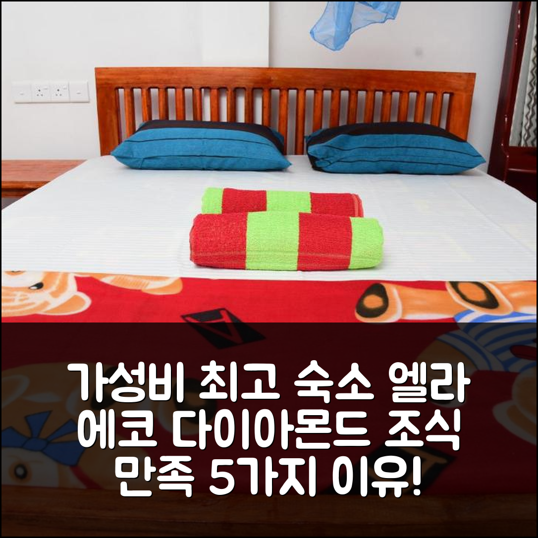 엘라 숙소 여행 호텔 추천 에코 다이아몬드 팰리스 | 가성비 좋고 조식 만족스러운 5가지 이유