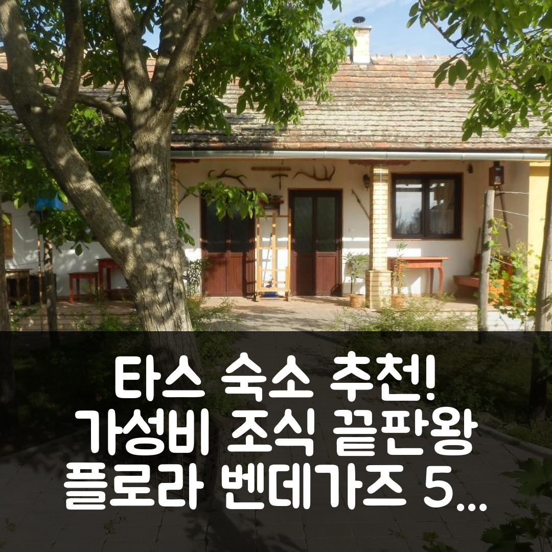타스 숙소 여행 호텔 추천 플로라 벤데가즈 | 가성비와 조식이 뛰어난 5가지 장점들