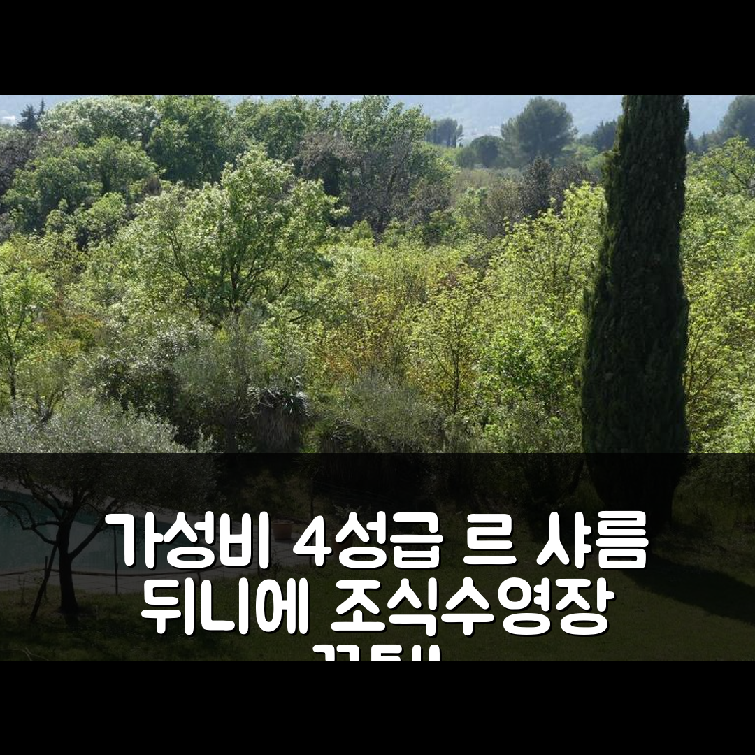 솔리에 퐁트 숙소 여행 호텔 추천 르 샤름 뒤니에 블레 바스티드 프로방칼 | 가성비 좋은 4성급 조식과 수영장 정보 7가지