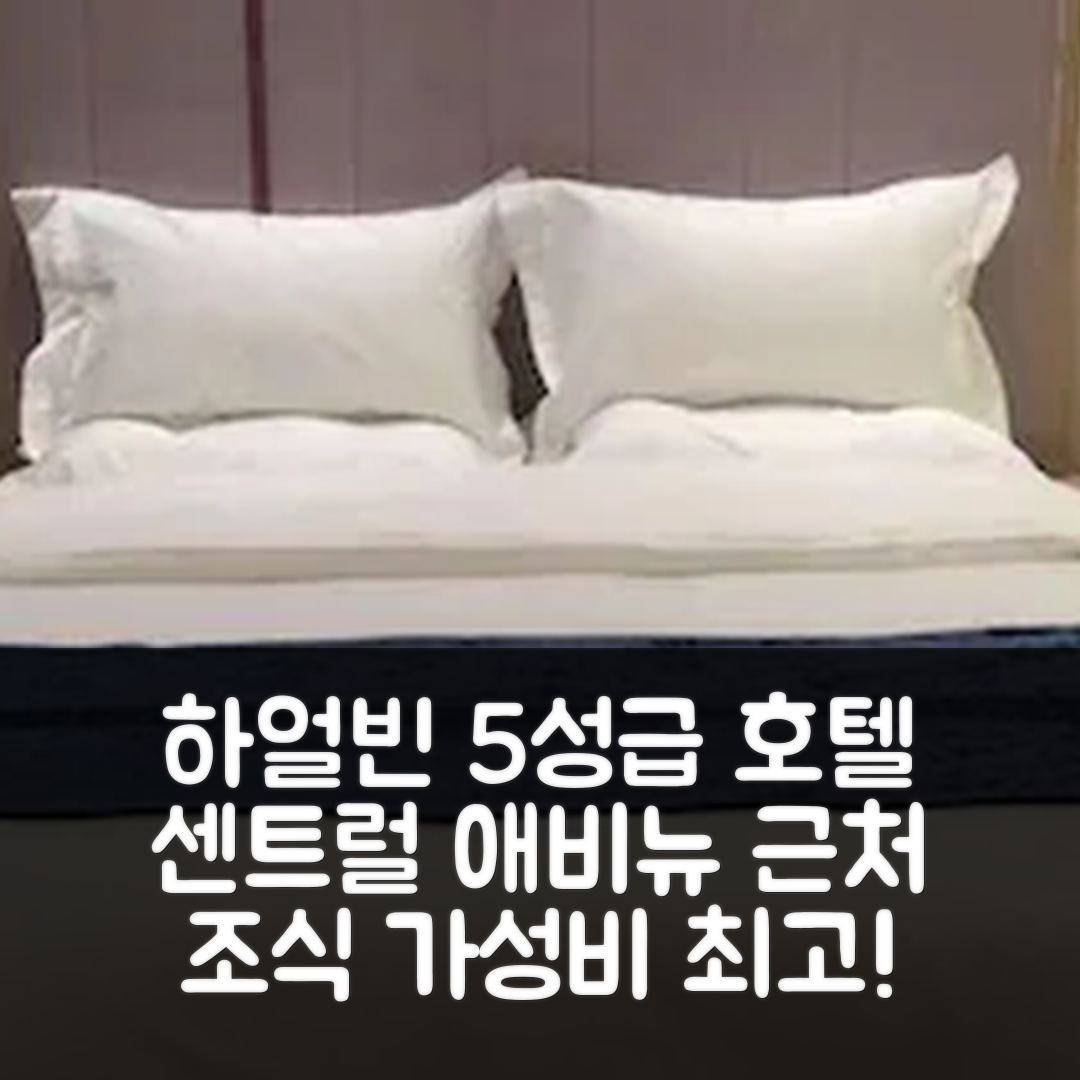 하얼빈 숙소 여행 호텔 추천 하얼빈 센트럴 애비뉴 고속도로 교량 지하철역 | 5성급 조식과 가성비 좋은 위치 7가지 장점