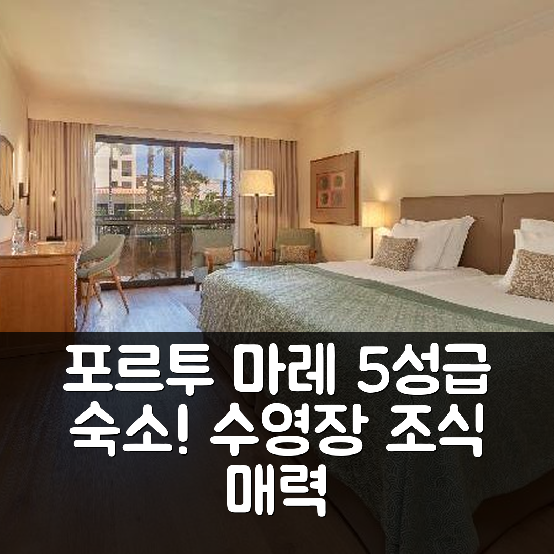 마데이라 섬 숙소 여행 호텔 추천 포르투 마레 포르투베이 | 5성급 수영장과 조식이 매력적인 이유 7가지